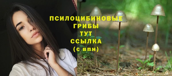 кокаин Бородино