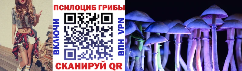 Псилоцибиновые грибы мицелий наркошоп Энем